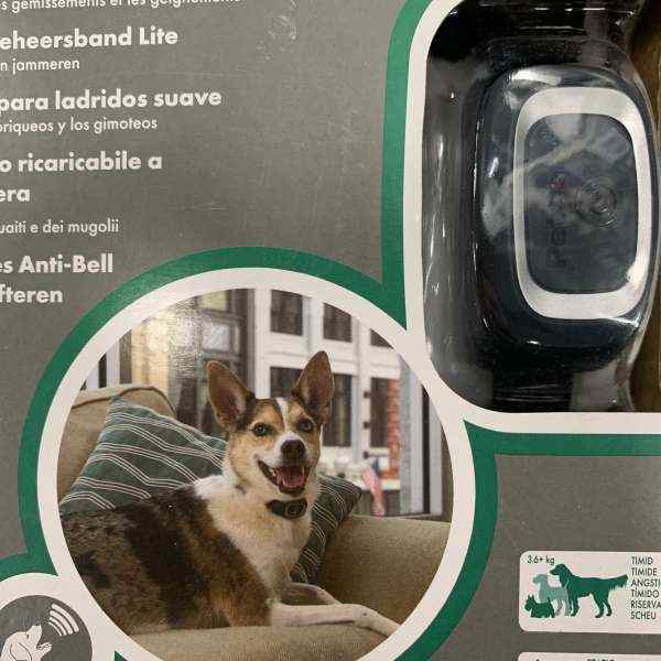 Petsafe collier pour chien