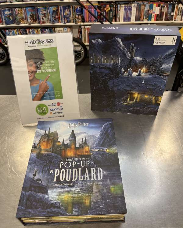 Le grand livre Pop-up de Poudlard, Harry Potter